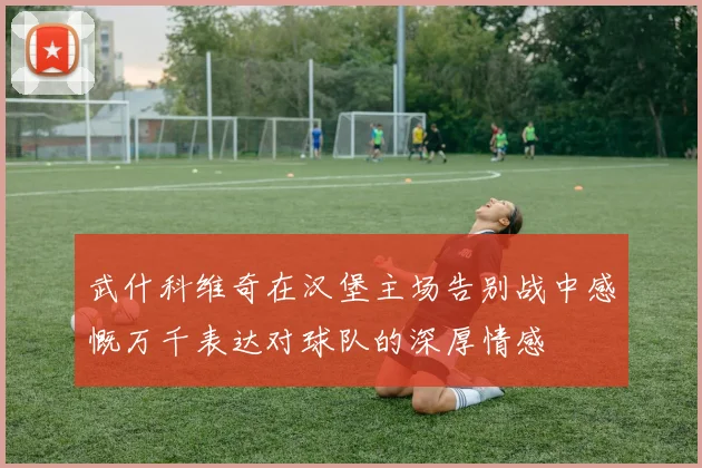武什科维奇在汉堡主场告别战中感慨万千表达对球队的深厚情感