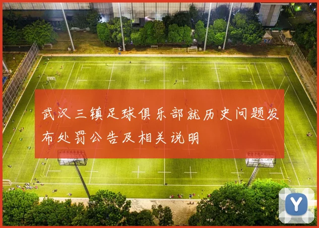 武汉三镇足球俱乐部就历史问题发布处罚公告及相关说明